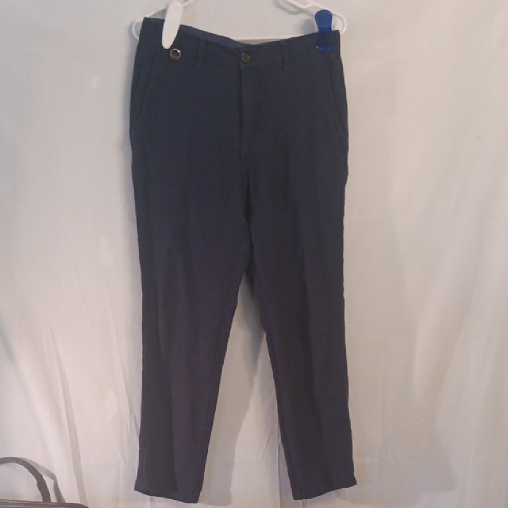 Zara Blue Chinos Slim Fit 29